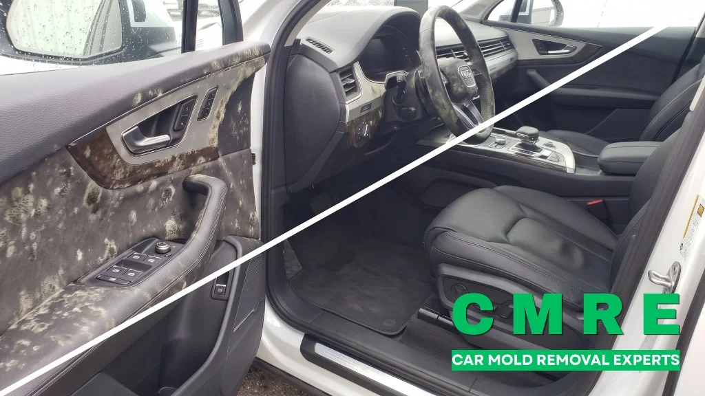 Mold on the Audi Q7 driver door panel and steering wheel before and after remediation