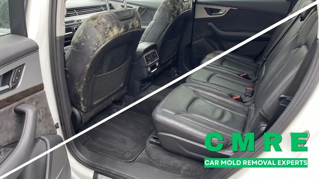 Moldy Audi Q7 rear seatbacks before and after cleaning and fumigation