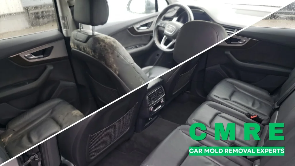 Audi Q7 S-Line interior before and after mold removal in Vancouver